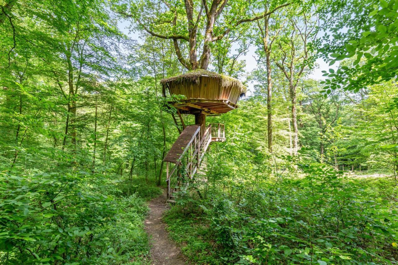 L'Arbre A Cabane Guyonvelle Exterior photo